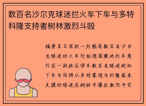 数百名沙尔克球迷拦火车下车与多特科隆支持者树林激烈斗殴